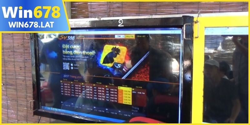 Đá gà cựa sắt tốc độ cao chiến trường nảy lửa cực bùng nổ